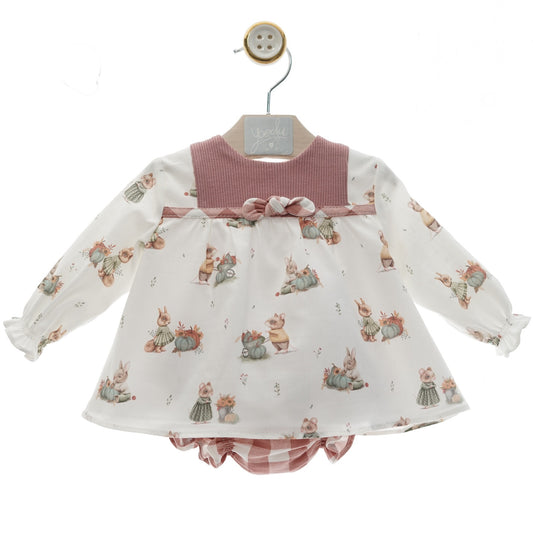 Delicate Baby Dress