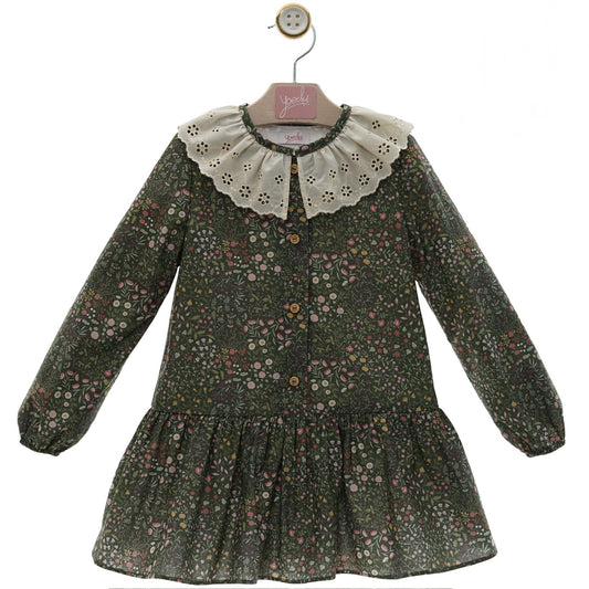 Girl's Dress with Lace Collar